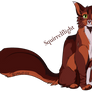 Squirrelflight/ Poil d Ecureuil