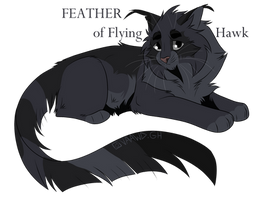 Feather of Flying Hawk