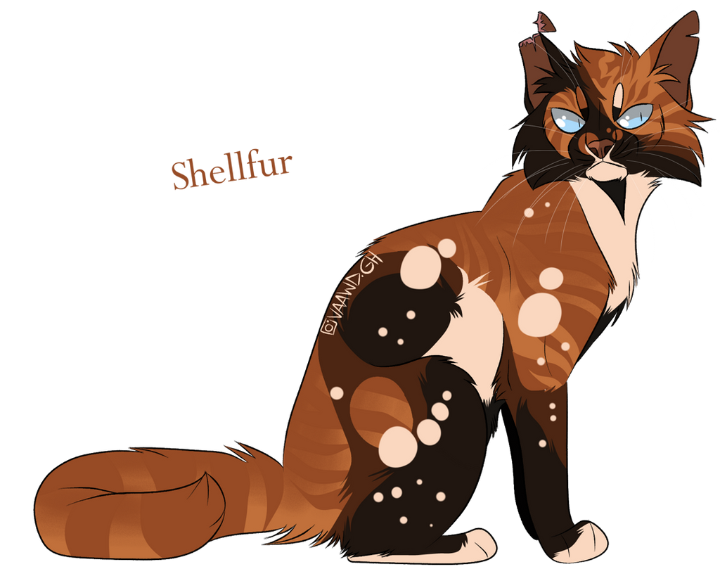 Shellfur by CaptainBW on DeviantArt