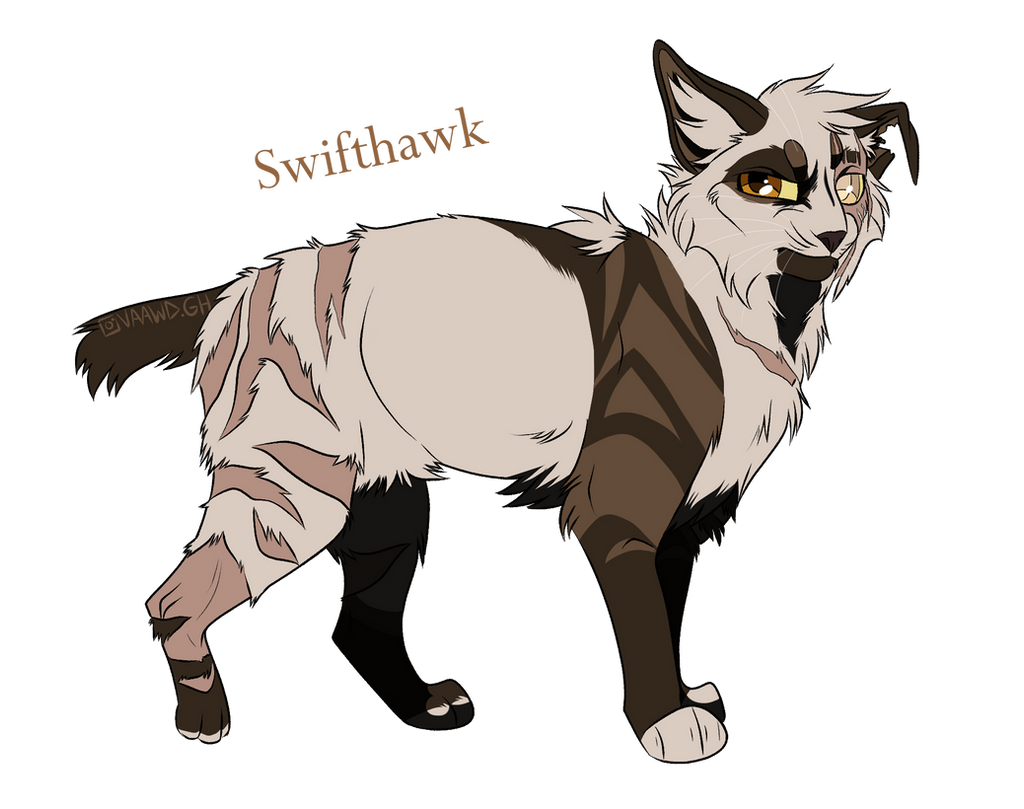 Swifthawk Swiftpaw AU By CaptainBW On DeviantArt swifthawk-swiftpaw-au-by-captainbw-on-deviantart