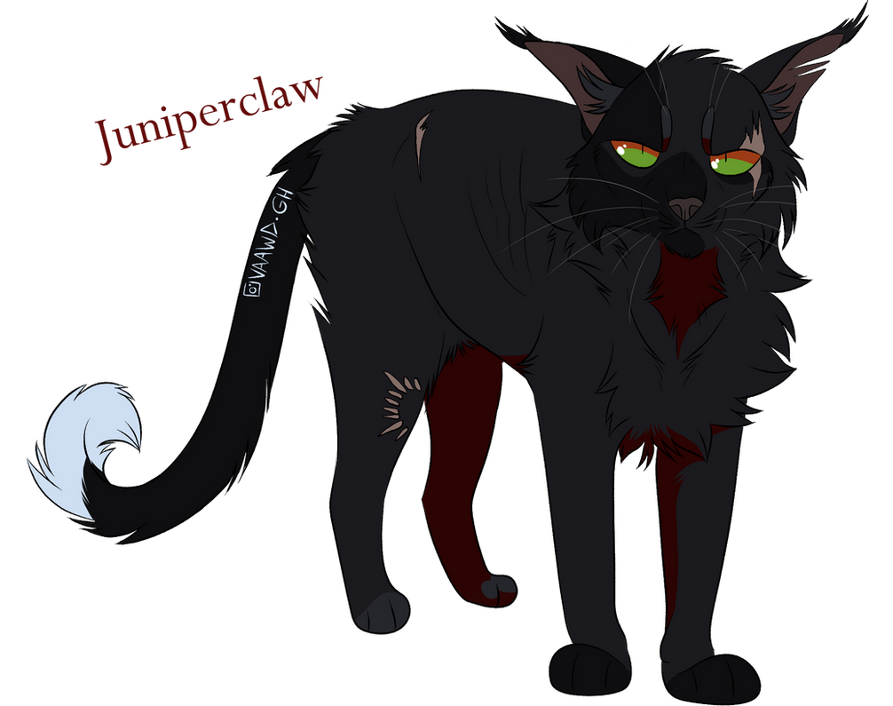 Juniperclaw Juniperclaw/ Griffe de Genievre by CaptainBW on DeviantArt