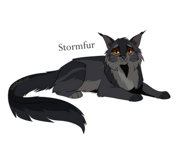 Stormfur/ Pelage d Orage