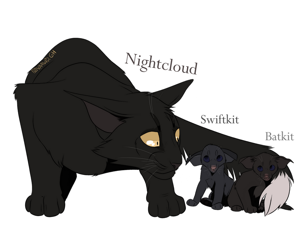 Nightcloud/ Belle-de-Nuit by CaptainBW on DeviantArt