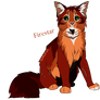 Firestar(heart)/ Etoile de Feu(Coeur de Feu)