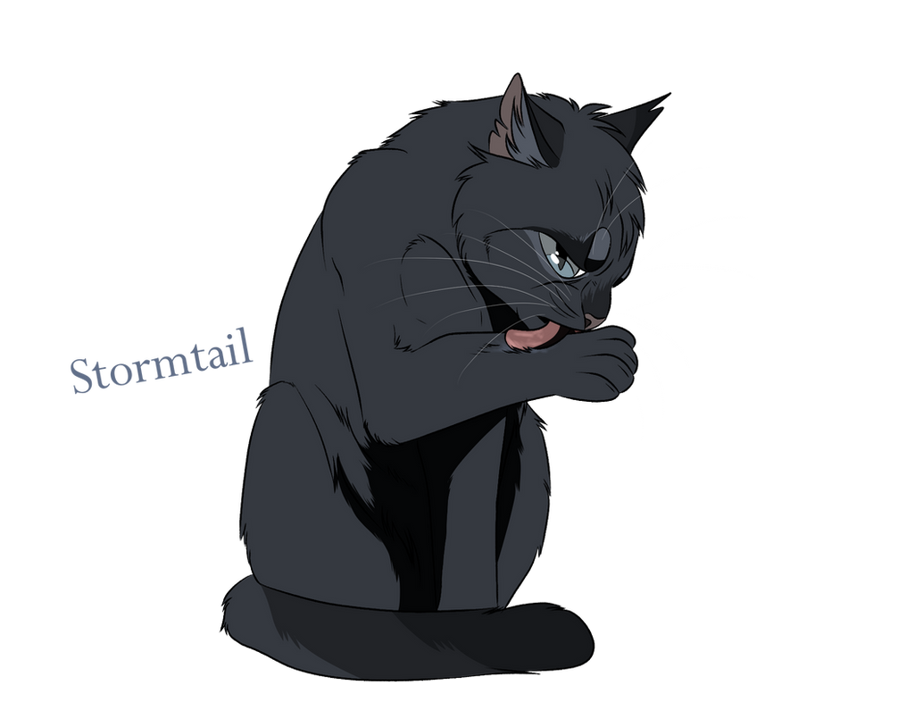 Stormtail Stormtail/ Plume de Tempete by CaptainBW on DeviantArt
