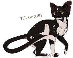 Tallstar(tail)/ Etoile (plume) Filante