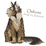 Owlnose