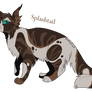 Splashtail