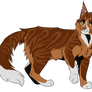 Thunder(star)/(Etoile) Tonnerre