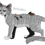 Jayfeather/ Oeil de Geai