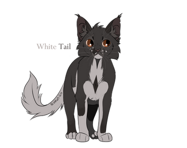White Tail/ Queue Blanche