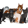 Gray Wing's Famil