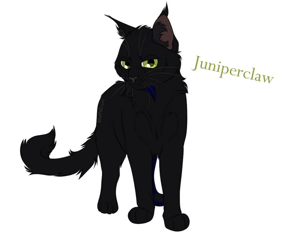 Juniperclaw Juniperclaw/ Griffe de Geniervre by CaptainBW on DeviantArt