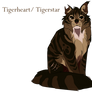 Tigerstar (heart)/ Etoile (Coeur) du Tigre