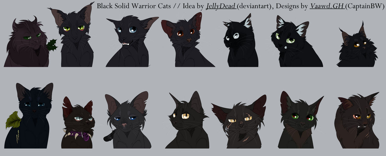 Black solid Warrior Cats