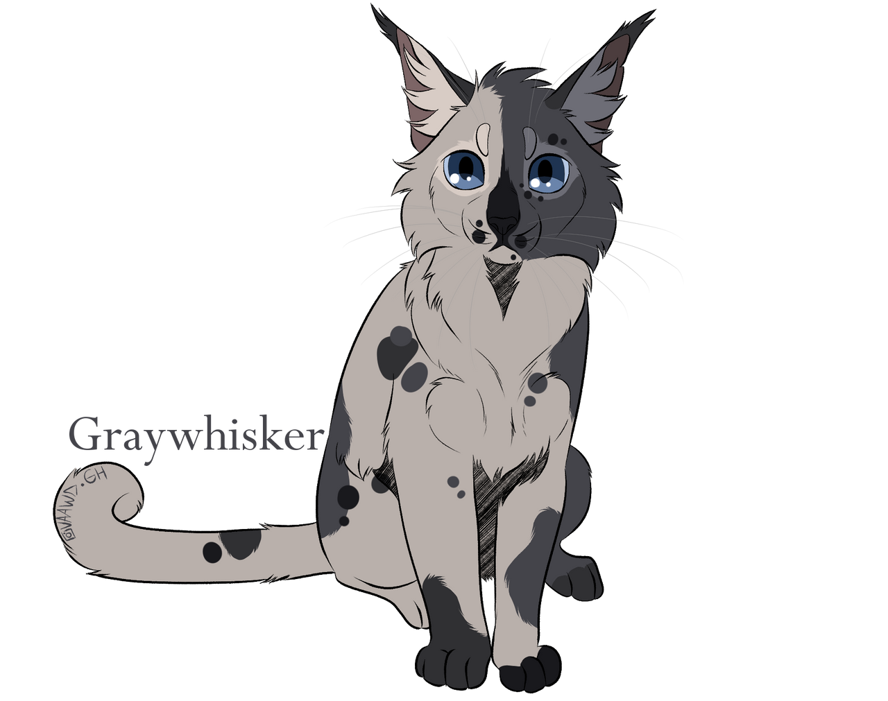 Graywhisker