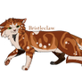 Bristleclaw