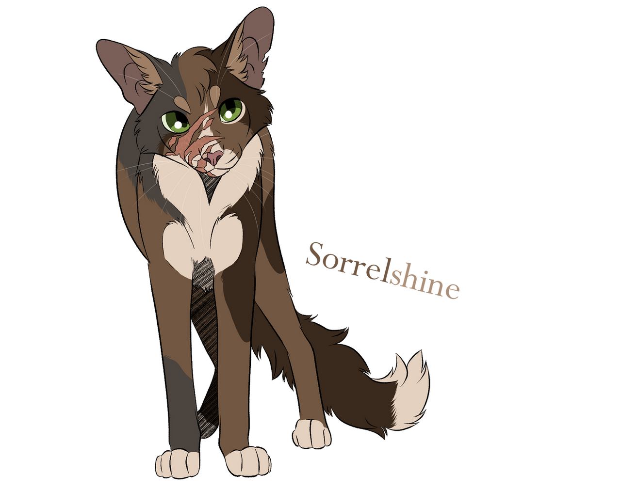 Sorrelshine