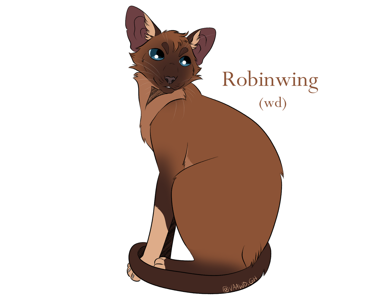 Robinwing/ Plume de Moineau