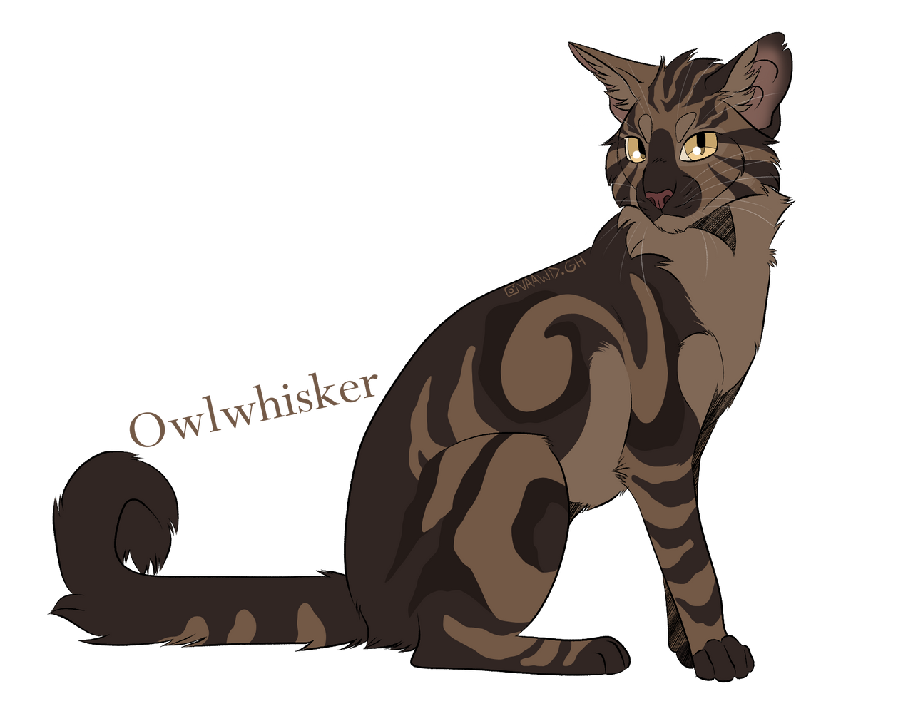 Owlwhisker/ Plume de Hibou