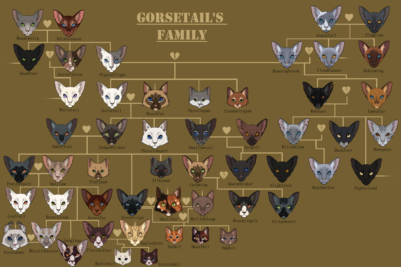Gorsetail's family