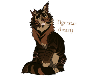 Tigerstar(heart)/Etoile (coeur) du Tigre