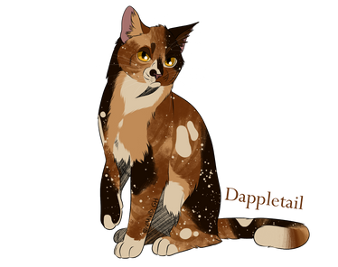 Dappletail/ Plume Cendree