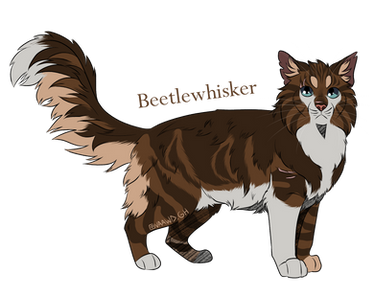 Beetlewhisker/ Patte de Scarabee