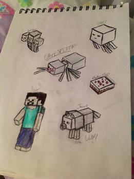 Minecraft Doodles :)