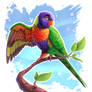 Rainbow lorikeet