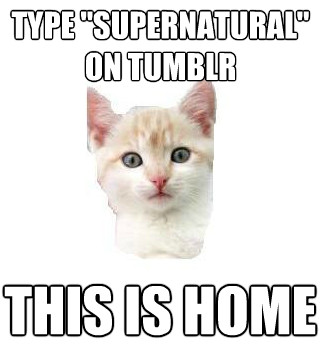 SUPERNATURAL FAN MEME2