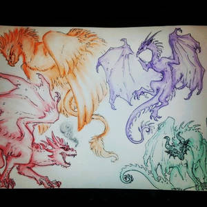 wata color dragons