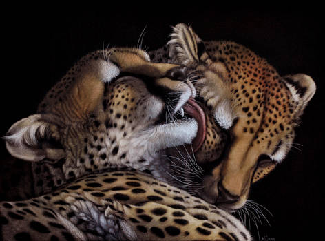 Cheetah Snuggle