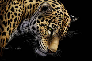 Kiss of Death by Heatherzart Kiss of Death by Heatherzart