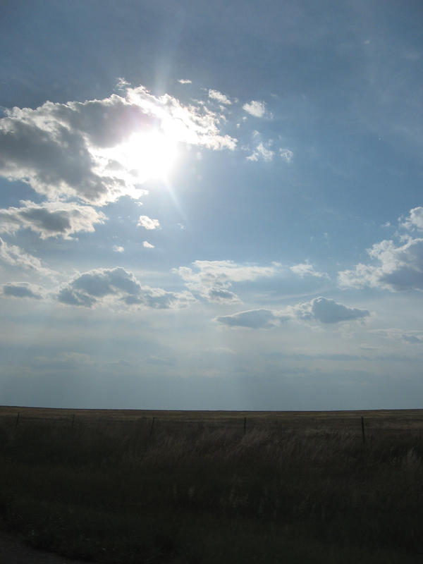 Kansas Fields