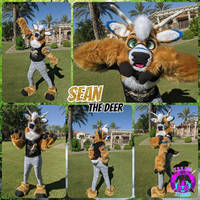 Sean the Deer (June 2020)