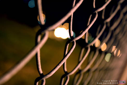 Caged Bokeh