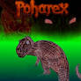 Poharex Issue 3 Cover