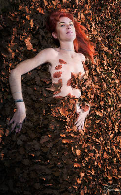automne 4