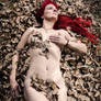 automne amphitrie