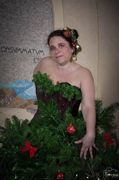 sapin de noel 6
