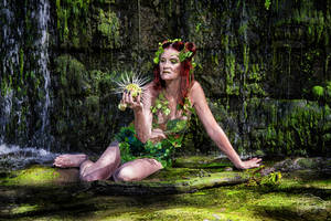 Ivy poison 20