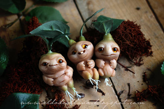 Mandrake roots