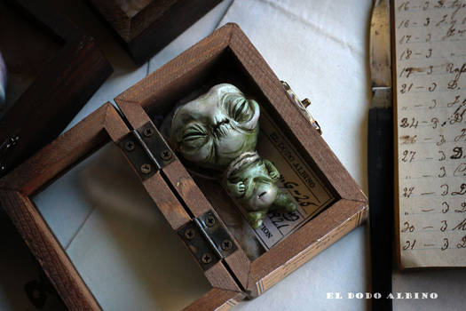 Homunculum hortus, boxed ooak art doll . Gnome.