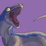 Blue the Raptor