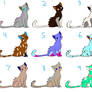 Cat Adoptables