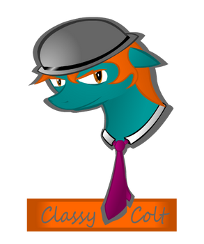 classy colt