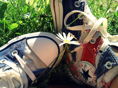 converse love