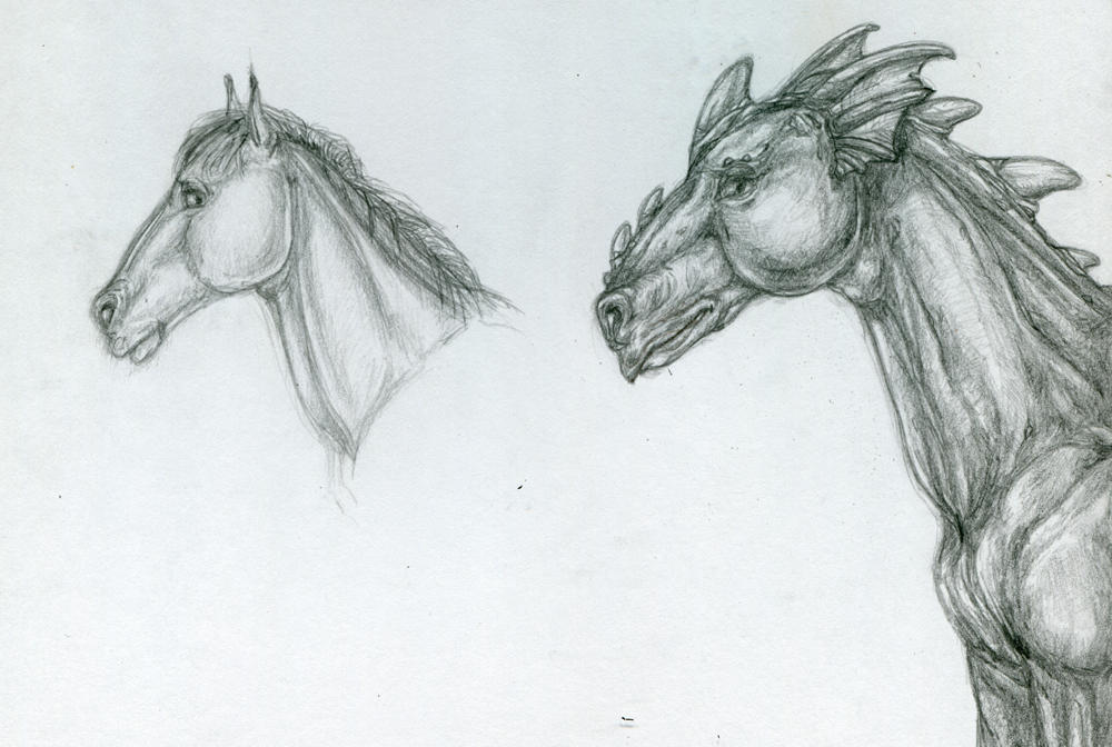 Random creature by finwion on DeviantArt