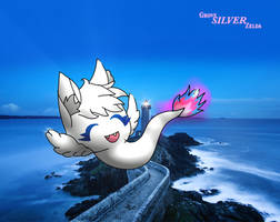 Soaring